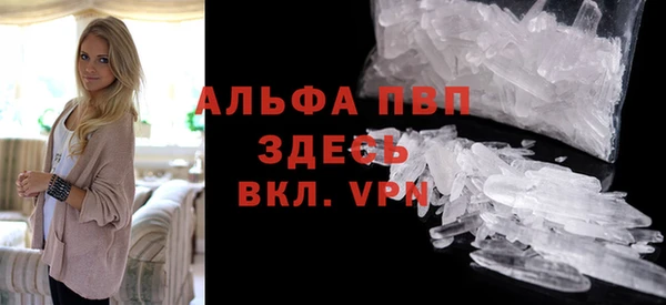 молекула духа Арсеньев