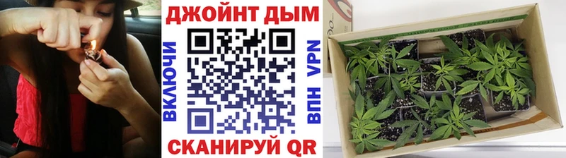 сколько стоит Новоуральск Шишки марихуана Ganja